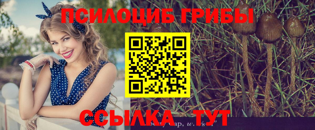 Псилоцибиновые грибы MAGIC MUSHROOMS  Вход с VPN  купить  сайты  Кореновск  Псилоцибиновые грибы мухоморы 